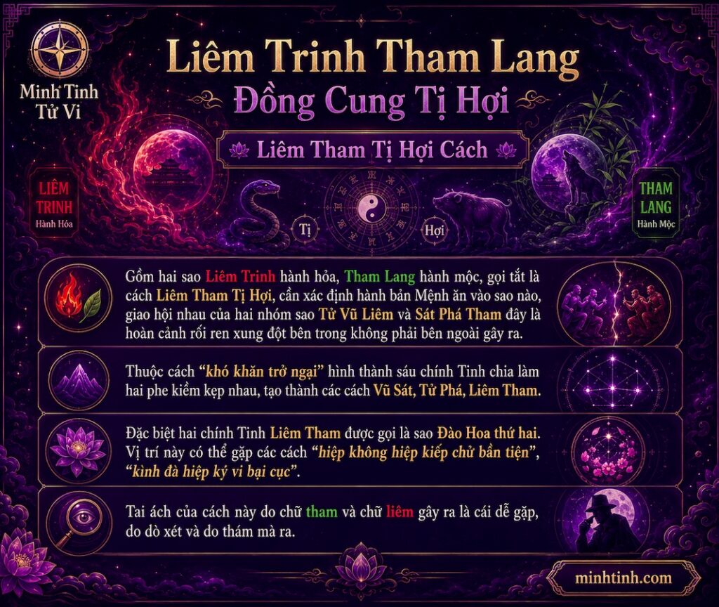 Sao Liêm Trinh Tham Lang Đồng Cung Tại Tị Hợi – Liêm Tham Tị Hợi Cách