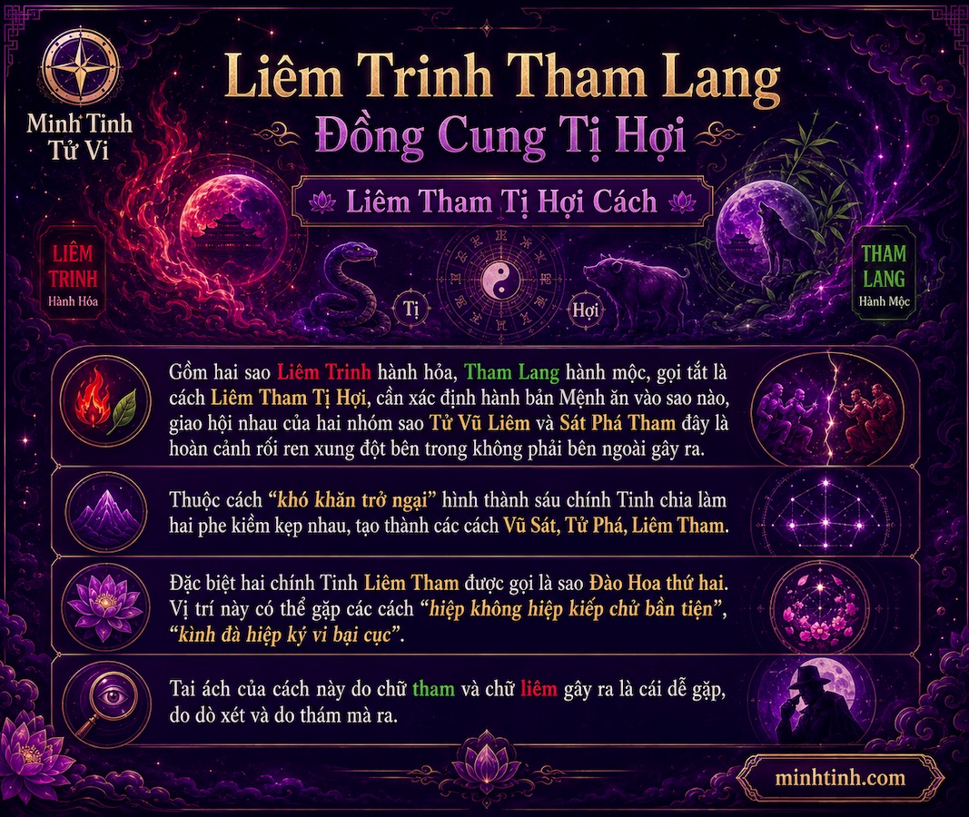 Sao Liêm Trinh Tham Lang Đồng Cung Tại Tị Hợi – Liêm Tham Tị Hợi Cách