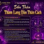 Sao Tham Lang Đơn Thủ Cung Dần Thân – Tham Lang Dần Thân Cách
