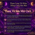 Sao Tham Lang Vũ Khúc Đồng Cung Tại Sửu Mùi – Tham Vũ Sửu Mùi Cách