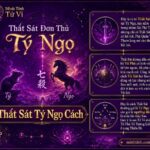 Sao Thất Sát Đơn Thủ Cung Tý Ngọ - Thất Sát Tý Ngọ Cách
