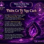 Sao Thiên Cơ Đơn Thủ Cung Tý Ngọ - Thiên Cơ Tý Ngọ Cách