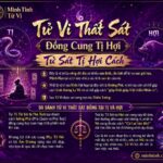 Sao Tử Vi Thất Sát Đồng Cung Tại Tị Hợi - Tử Sát Tị Hợi Cách