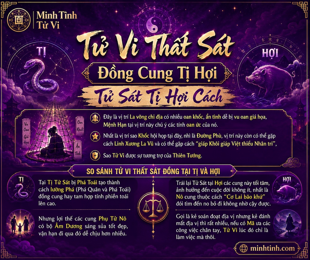 Sao Tử Vi Thất Sát Đồng Cung Tại Tị Hợi – Tử Sát Tị Hợi Cách