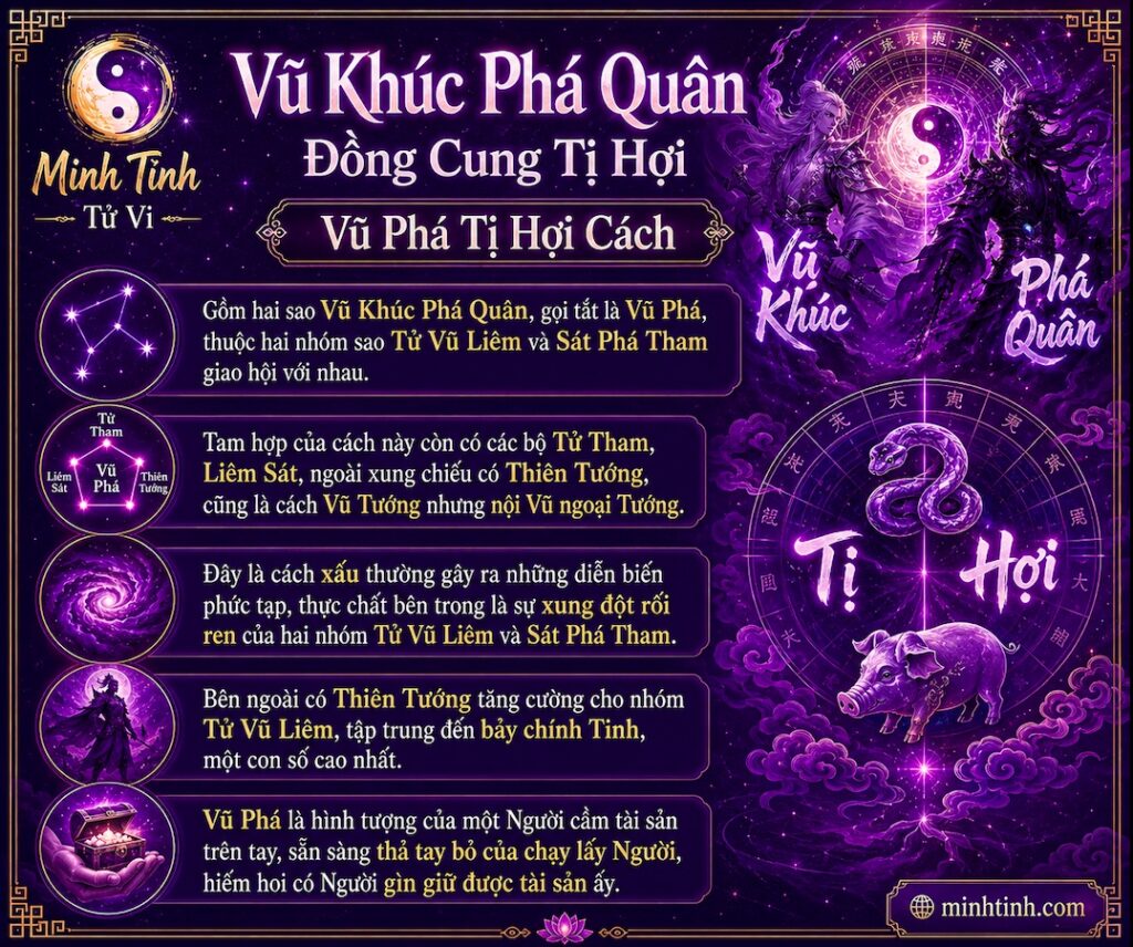 Sao Vũ Khúc Phá Quân Đồng Cung Tại Tị Hợi – Vũ Phá Tị Hợi Cách