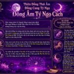 Sao Thiên Đồng Thái Âm Đồng Cung Tại Tý Ngọ - Đồng Âm Tý Ngọ Cách