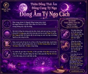 http://Sao%20Thiên%20Đồng%20Thái%20Âm%20Đồng%20Cung%20Tại%20Tý%20Ngọ%20-%20Đồng%20Âm%20Tý%20Ngọ%20Cách