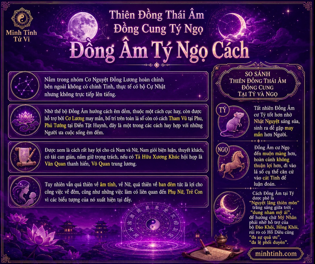 Sao Thiên Đồng Thái Âm Đồng Cung Tại Tý Ngọ – Đồng Âm Tý Ngọ Cách