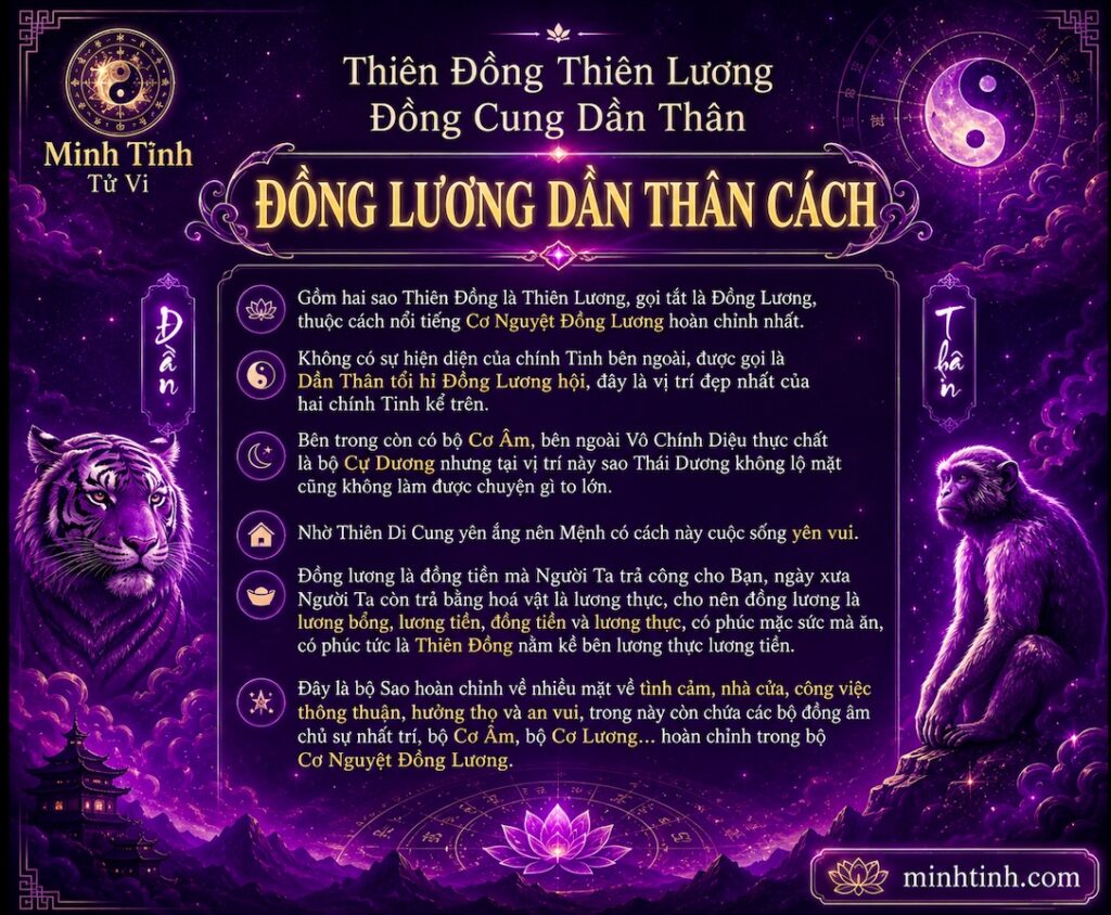 Sao Thiên Đồng Thiên Lương Đồng Cung Tại Dần Thân 