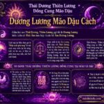 Sao Thái Dương Thiên Lương Đồng Cung Tại Mão Dậu – Dương Lương Mão Dậu Cách