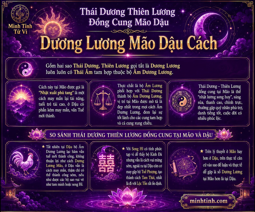 Sao Thái Dương Thiên Lương Đồng Cung Tại Mão Dậu – Dương Lương Mão Dậu Cách