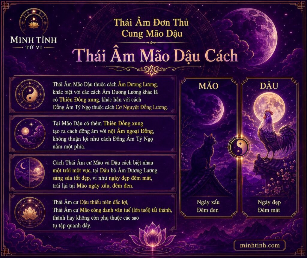 Sao Thái Âm Đơn Thủ Cung Mão Dậu – Thái Âm Mão Dậu Cách