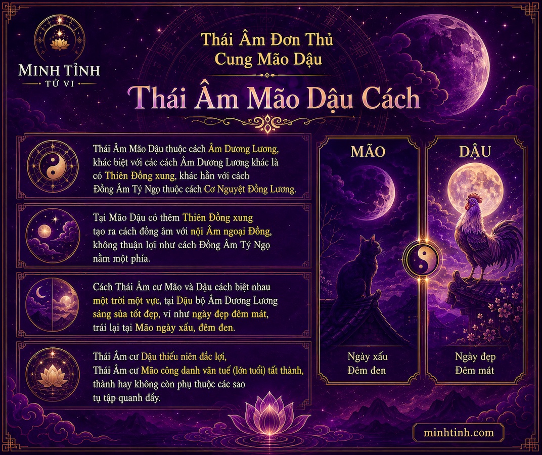 Sao Thái Âm Đơn Thủ Cung Mão Dậu – Thái Âm Mão Dậu Cách