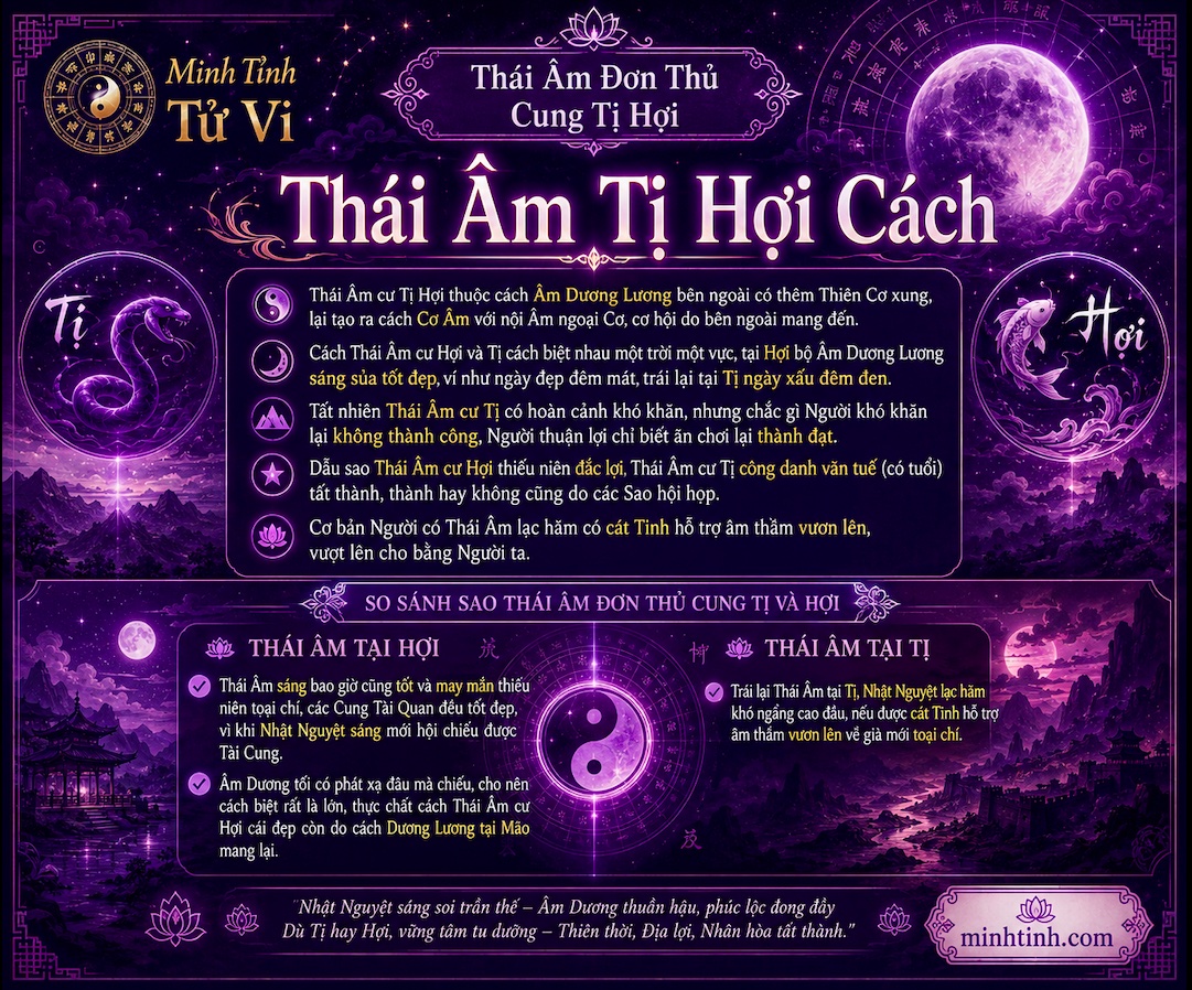 Sao Thái Âm Đơn Thủ Cung Tị Hợi – Thái Âm Tị Hợi Cách