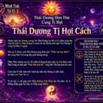 Sao Thái Dương Đơn Thủ Cung Tị Hợi – Thái Dương Tị Hợi Cách