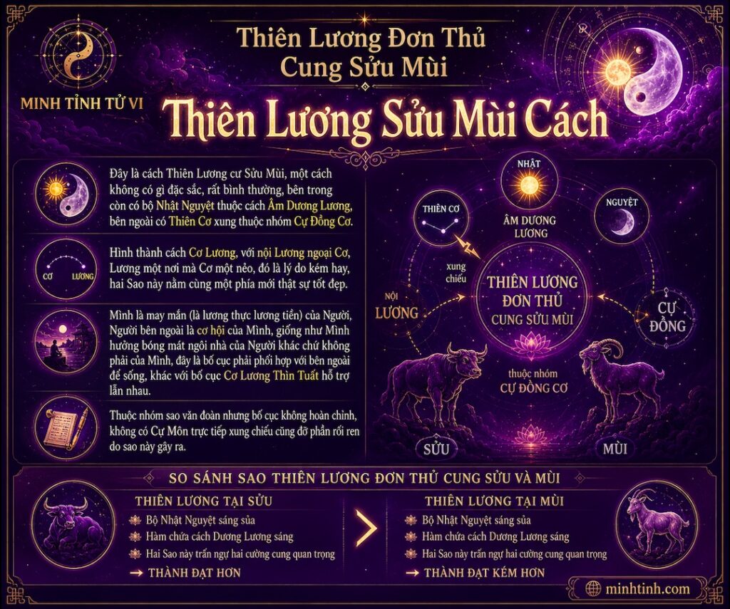 Sao Thiên Lương Đơn Thủ Cung Sửu Mùi – Thiên Lương Sửu Mùi Cách