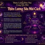 Sao Thiên Lương Đơn Thủ Cung Sửu Mùi – Thiên Lương Sửu Mùi Cách