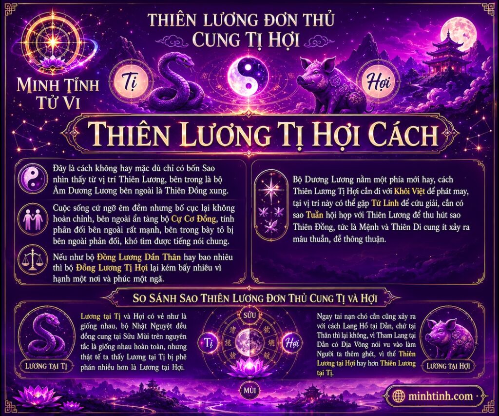 Sao Thiên Lương Đơn Thủ Cung Tị Hợi – Thiên Lương Tị Hợi Cách
