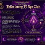 Sao Thiên Lương Đơn Thủ Cung Tý Ngọ - Thiên Lương Tý Ngọ Cách